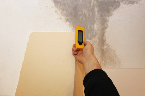 Dehumidification Services in Sauk Centre, MN