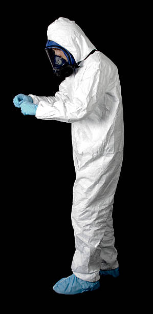 Best Mold Damage Restoration  in Sauk Centre, MN