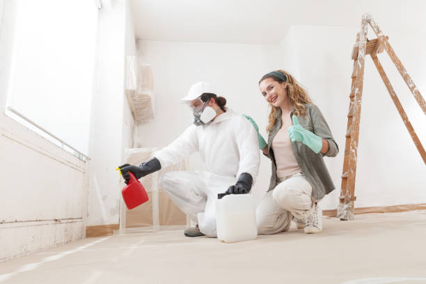 Best Mold-Related Health Consultation  in Sauk Centre, MN