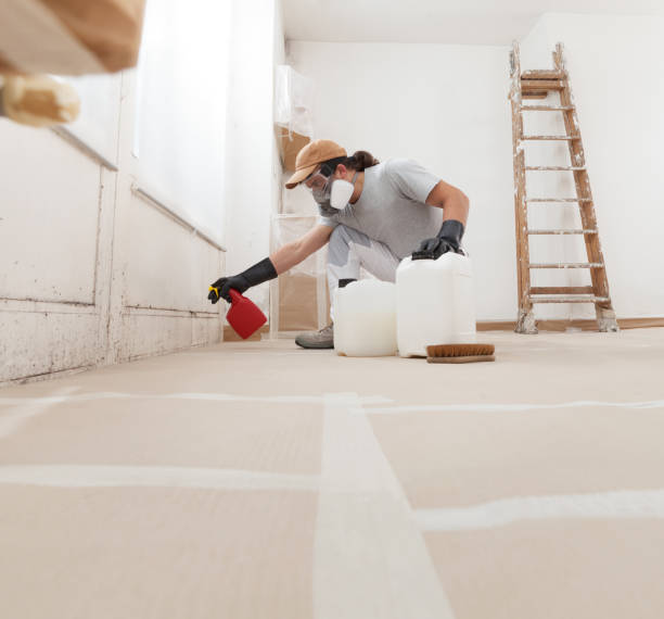 Best Comprehensive Air Testing for Mold Contaminants  in Sauk Centre, MN