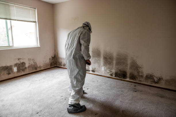 Best Airborne Mold Testing  in Sauk Centre, MN