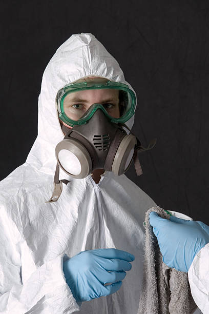 Best Dehumidification Services  in Sauk Centre, MN